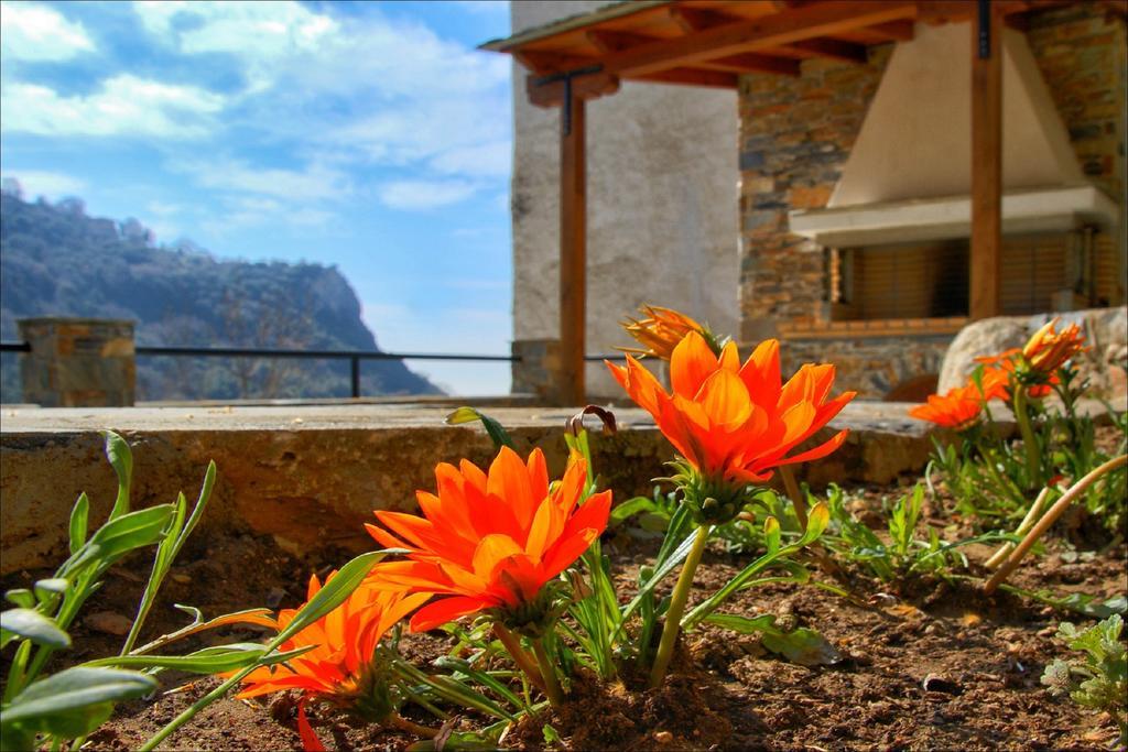 Volos View Residence Makrinitsa Bagian luar foto